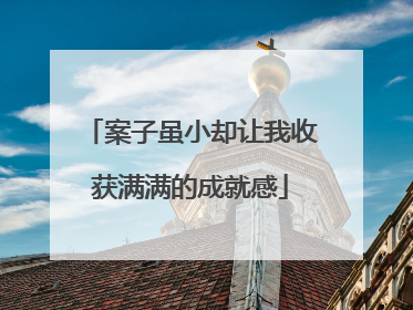 案子虽小却让我收获满满的成就感