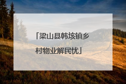 梁山县韩垓镇乡村物业解民忧