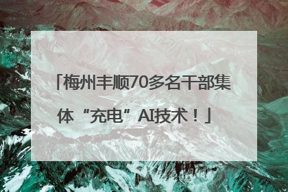 梅州丰顺70多名干部集体“充电”AI技术！