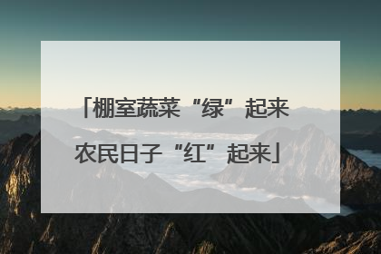 棚室蔬菜“绿”起来 农民日子“红”起来
