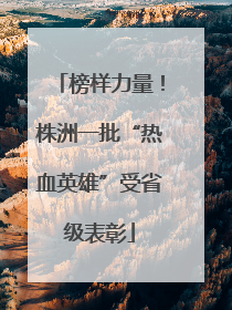 榜样力量！株洲一批“热血英雄”受省级表彰