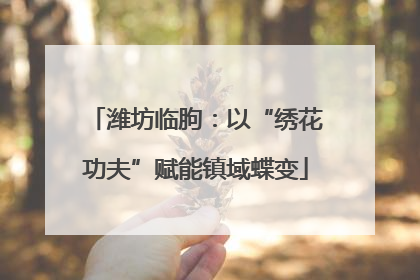 潍坊临朐：以“绣花功夫”赋能镇域蝶变