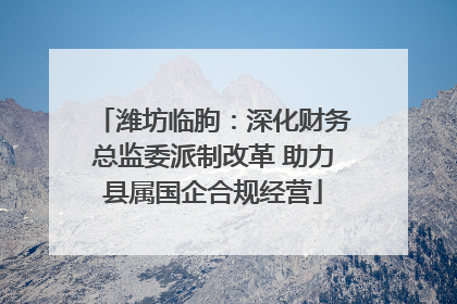 潍坊临朐：深化财务总监委派制改革 助力县属国企合规经营