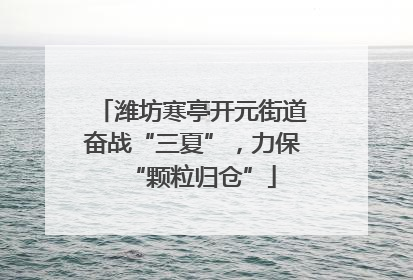 潍坊寒亭开元街道奋战“三夏”，力保“颗粒归仓”