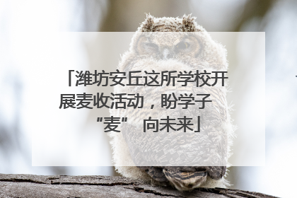 潍坊安丘这所学校开展麦收活动，盼学子 “麦” 向未来