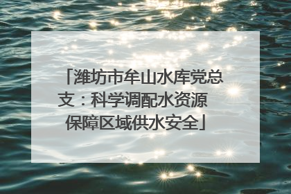 潍坊市牟山水库党总支：科学调配水资源 保障区域供水安全