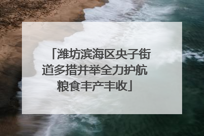 潍坊滨海区央子街道多措并举全力护航粮食丰产丰收