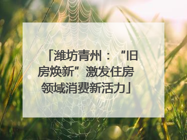 潍坊青州：“旧房焕新”激发住房领域消费新活力