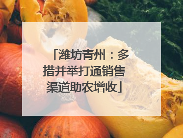 潍坊青州：多措并举打通销售渠道助农增收