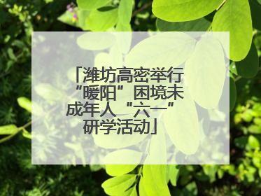 潍坊高密举行“暖阳”困境未成年人“六一”研学活动