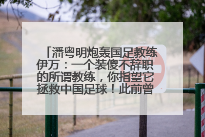 潘粤明炮轰国足教练伊万：一个装傻不辞职的所谓教练，你指望它拯救中国足球！此前曾多次发文评价国足