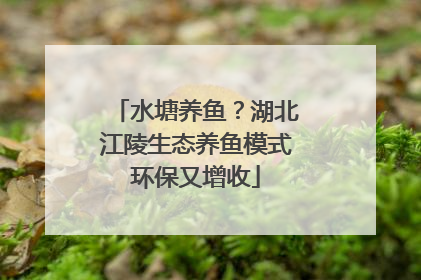 水塘养鱼？湖北江陵生态养鱼模式环保又增收