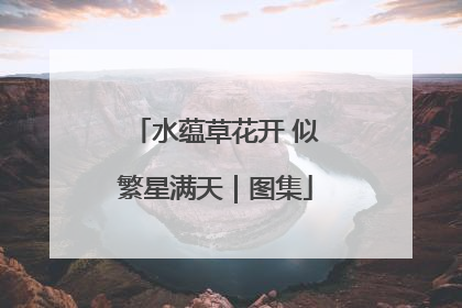 水蕴草花开 似繁星满天｜图集