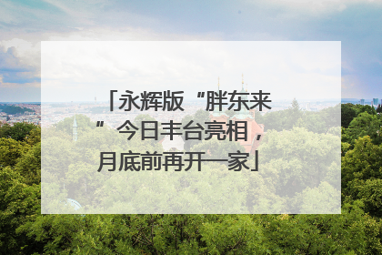 永辉版“胖东来”今日丰台亮相，月底前再开一家