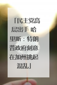 民主党高层出手 哈里斯：特朗普政府刻意在加州挑起混乱