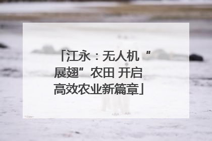 江永：无人机“展翅”农田 开启高效农业新篇章