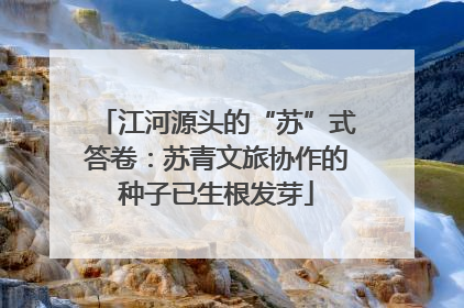 江河源头的“苏”式答卷：苏青文旅协作的种子已生根发芽