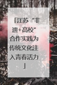 江苏“非遗+高校”合作实践为传统文化注入青春活力