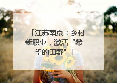 江苏南京：乡村新职业，激活“希望的田野”