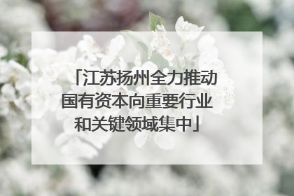 江苏扬州全力推动国有资本向重要行业和关键领域集中