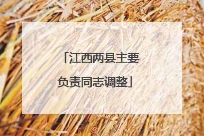 江西两县主要负责同志调整