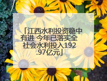 江西水利投资稳中有进 今年已落实全社会水利投入192.97亿元