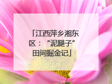 江西萍乡湘东区：“泥腿子”田间掘金记