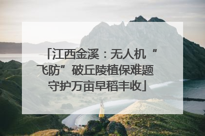江西金溪：无人机“飞防”破丘陵植保难题 守护万亩早稻丰收