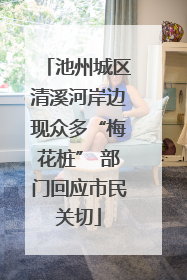 池州城区清溪河岸边现众多“梅花桩” 部门回应市民关切