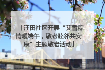 汪田社区开展“艾香粽情暖端午，敬老睦邻共安康”主题敬老活动