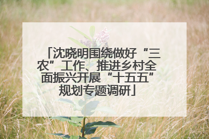 沈晓明围绕做好“三农”工作、推进乡村全面振兴开展“十五五”规划专题调研