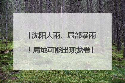 沈阳大雨、局部暴雨！局地可能出现龙卷