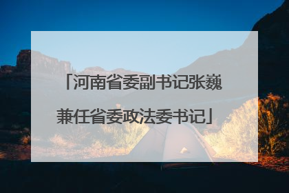 河南省委副书记张巍兼任省委政法委书记