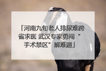 河南九旬老人排尿难跨省求医 武汉专家勇闯“手术禁区”解难题