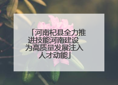 河南杞县全力推进技能河南建设 为高质量发展注入人才动能