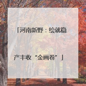 河南新野：绘就稳产丰收“金画卷”