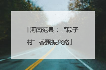 河南范县：“粽子村”香飘振兴路