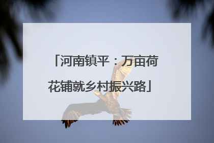 河南镇平：万亩荷花铺就乡村振兴路