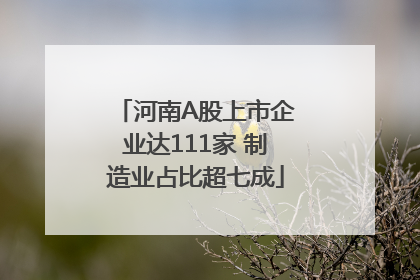 河南A股上市企业达111家 制造业占比超七成