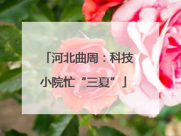 河北曲周：科技小院忙“三夏”