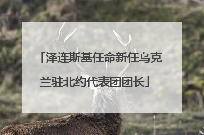 泽连斯基任命新任乌克兰驻北约代表团团长