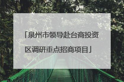泉州市领导赴台商投资区调研重点招商项目