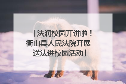 法润校园开讲啦！衡山县人民法院开展 送法进校园活动