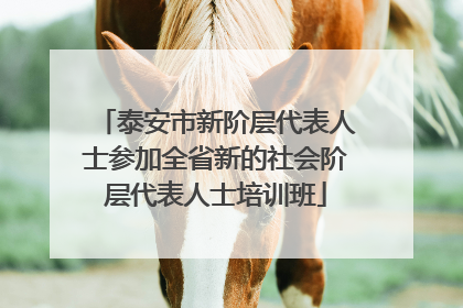 泰安市新阶层代表人士参加全省新的社会阶层代表人士培训班