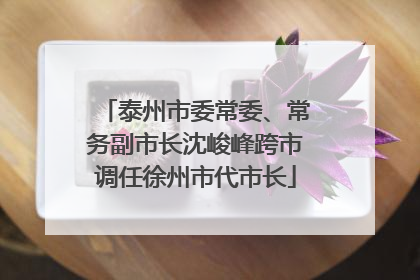 泰州市委常委、常务副市长沈峻峰跨市调任徐州市代市长
