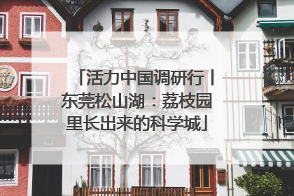 活力中国调研行丨东莞松山湖：荔枝园里长出来的科学城