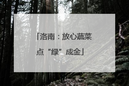 洛南：放心蔬菜点“绿”成金