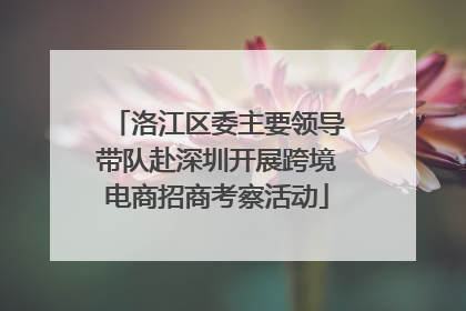 洛江区委主要领导带队赴深圳开展跨境电商招商考察活动