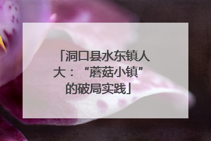 洞口县水东镇人大：“蘑菇小镇”的破局实践