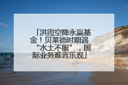 洪霞空降永赢基金！贝莱德时期遇“水土不服”，国际业务难言乐观